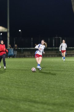 Bild 275 - wBJ Hamburger SV - Eimsbuettler TV 2 : Ergebnis: 16:0